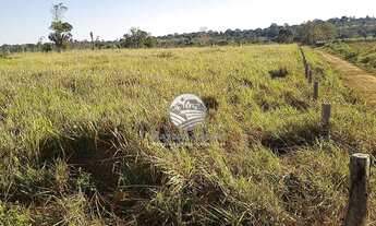 Imagem: Machadinho D x27 Oeste - Sítio - 15 alqueires