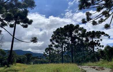 Imagem 2: Chácara em Urubici