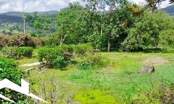 Imagem 6: Excelente Sítio Urbano em Gravatá de 1.5 hectare