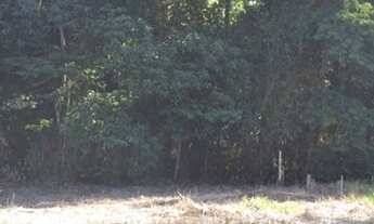 Imagem 3: Terreno Portal da Figueira