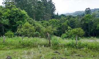 Imagem 6: Chácara em Portão REF: 210308