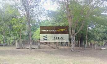 Imagem 2: Fazenda Extra ! 597 Alqueires ! Região de Cocalinho-GO !