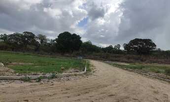 Imagem: Lotes na 1° Etapa do Brisas do Metrópole