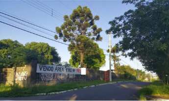 Imagem 2: CANOAS - Padrão - São José