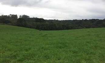 Imagem 2: Chácara com 78605 m2 Cachueira 2.000.000.00