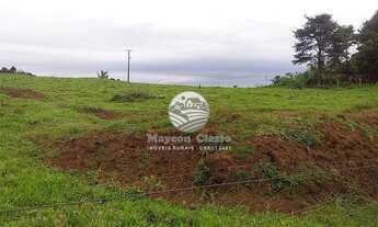 Imagem 2: Jaru - Sítio - 12 Alqueires