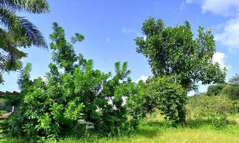 Imagem 5: Linda Chácara otima localização ( Willian Ricardo