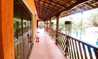 Imagem 5: Esmeraldas - Sítio - Ipe Amarelo