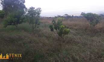 Imagem: Chácara com 3 dormitórios à venda, 20000