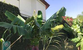 Imagem 2: Casa de Esquina! 4 Dorms! Estuda-se Permuta!