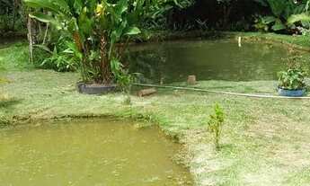 Imagem 1: Chacara santa leopoldina varias frutas 1.300 metros 45 mil