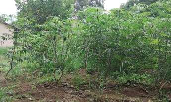 Imagem 3: Chácara com 2 dormitórios à venda, 13000 m² por R$ 390.000,00 - Distrito Agroindustrial de