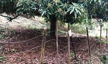 Imagem 5: Terreno Terreno / lote com venda por R$50.000