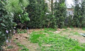 Imagem 2: Alugo casa com terreno murado