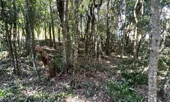 Imagem 5: Sítio Com Entrada De 4.900 E Parcelas De 650. ROB:756