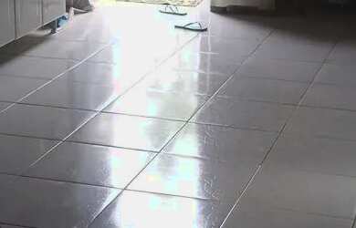 Imagem 2: Vendas de casa Casa com 1 banheiro