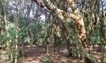 Imagem 5: Espetacular sítio 5000 m² em condomínio fechado em Águas Claras..