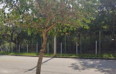 Imagem 4: Casa para venda com 100 metros quadrados