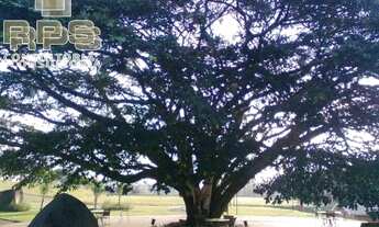 Imagem 4: Terreno à venda em Condomínio Fechado - Figueira Garden - Atibaia - SP