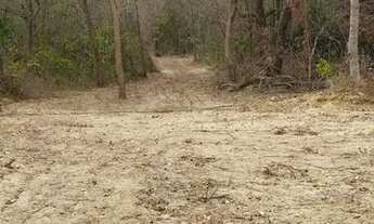 Imagem 5: Terreno de 16.000 metros na beira do rio