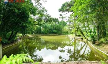 Imagem 3: Fazenda Rural Graciosa - Rua Carlos Kusma, Faxina, São José Dos Pinhais