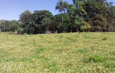 Imagem 6: Vende-se chácara formada com casa