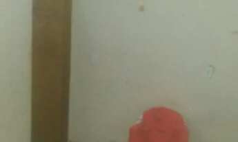 Imagem 6: Casas a venda Casa com 3 dormitórios