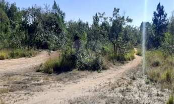 Imagem 5: Lindo terreno comercial e residencial na Serra Da Cantareira com mais de 19.000 m2