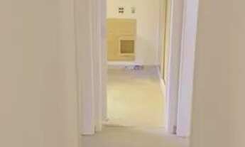 Imagem 6: Apartamento com 2 dormitórios para alugar, 50 m² por R$ 1.700,00/mês - Jardim Bela Vista