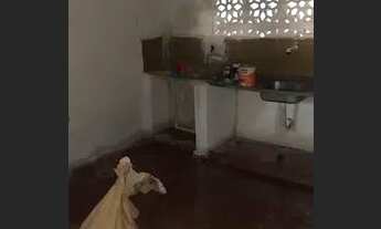 Imagem 7: Vende-se casa no centro de Monte Alegre