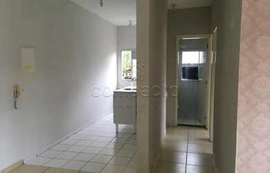 Imagem 5: Apartamento Padrão em São José do Rio Preto