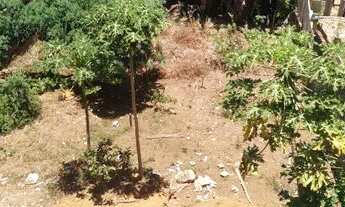 Imagem 2: Terreno plano Mussurunga 1