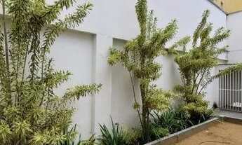 Imagem 4: Casa comercial com aproximadamente 400m² de área construída e 600m² de área territorial