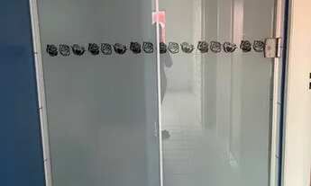 Imagem 5: Alugo Apartamento com 4 dormitórios