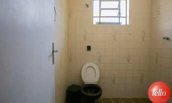 Imagem 5: São Paulo - Casa Padrão - Tatuapé