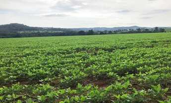 Imagem 4: Fazenda município de itaberai 25/5 alqueires