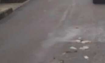 Imagem 2: Vendo casa subsolo jardim Brasília