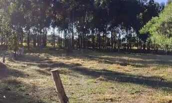 Imagem: Lindo terreno aproximadamente 600mts do