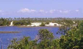 Imagem 3: Lote/Terreno para venda com 600 metros quadrados em Imbassaí - Mata de São João - BA