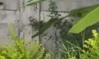 Imagem 4: Terreno à venda, 400 m² por R$ 450.000 - City Bussocaba - Osasco/SP