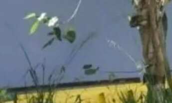 Imagem 5: Terreno à venda, 400 m² por R$ 450.000 - City Bussocaba - Osasco/SP