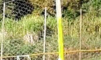 Imagem 6: Sítio do Paulinho Ravena- ALUGUEL- Disponível p/ NATAL. Todo decorado