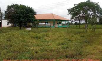 Imagem 5: Fazendinha de 50 hectares próximo da cidade de Cuiabá MT