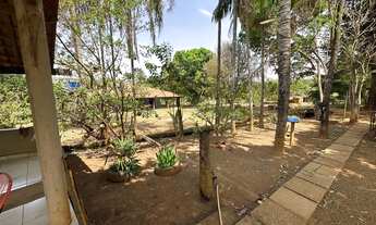 Imagem 3: Chácara de 4.5 alqueires