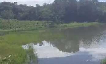 Imagem: Fazenda 15 alqueires município de araguapaz