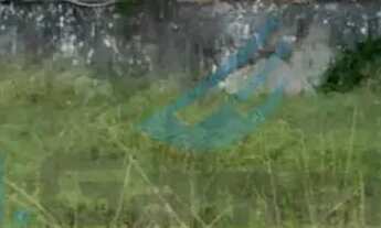 Imagem 4: Aluga-se área aproximadamente 1.500 m² dentro de um Posto em Realengo