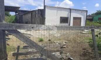 Imagem 6: Terreno para venda na Estrada da Branquinha no Martinica em Viamão