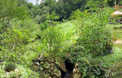 Imagem 5: Linda chácara à venda