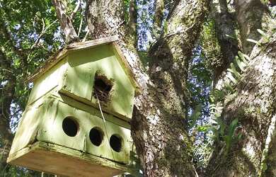 Imagem: Terreno chácara sítio