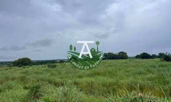 Imagem 6: 55 alq em Crixas GO